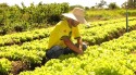 Agricultor, com extrema humildade, faz protesto que todas às pessoas da cidade deveriam refletir (veja o vídeo)