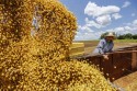 Para desespero da “turma do mal”, China aumenta a demanda da soja brasileira