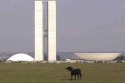 AO VIVO: O dia em que Brasília parou (veja o vídeo)