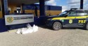 PRF apreende 115 kg de cocaína em Alagoas e 1,2 tonelada de maconha em MG (veja o vídeo)