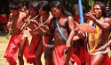 Liberdade antes que tardia: Os indígenas como principais vítimas das ONGs milionárias instaladas na Amazônia