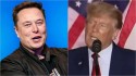 Elon Musk faz enquete no Twitter, se surpreende com o resultado e restaura conta de Donald Trump