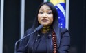 Deputada indígena solta o verbo e denuncia manipulação de estrangeiros e interesses escusos na Amazônia (veja o vídeo)
