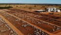 Equivalente ao tamanho de dez países, maior fazenda do Brasil é de tirar o fôlego