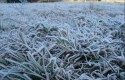 Chegada de frente fria pode causar impacto brutal no país