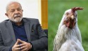 O “ovo” da galinha de Lula e o “ovo” da inflação