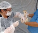Um dos estados mais importantes para o Agro declara Situação de Emergência