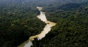 Ex-ministra da França é contratada pela USP e dá declaração alarmante sobre interesse estrangeiro na Amazônia