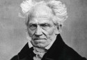 A estupidez, segundo Schopenhauer (e outros)