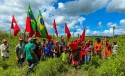 STF blinda invasão do MST e ignora a Constituição mais uma vez