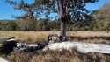 Avião faz pouso forçado em matagal e polícia encontra algo inesperado no local da queda