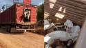 Advogado denuncia perseguição brutal sofrida por produtores rurais no Pará (veja o vídeo)