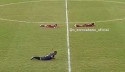 Final de campeonato é interrompida por motivo inesperado (veja o vídeo)