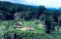 Conflito armado dentro da Terra Yanomami mata 3 crianças, de 4, 6 e 8 anos. Responsáveis precisam ser penalizados