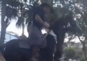 Candidato a deputado, ex-prefeito no RS, morre de forma trágica em acidente a cavalo