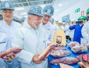 Lula joga sujo e enrola os MEIs: É o mesmo conto da picanha...
