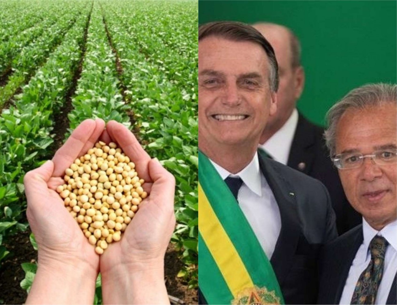 Brasil Deve Se Tornar O Maior Produtor De Soja Do Mundo Em 2020 ...