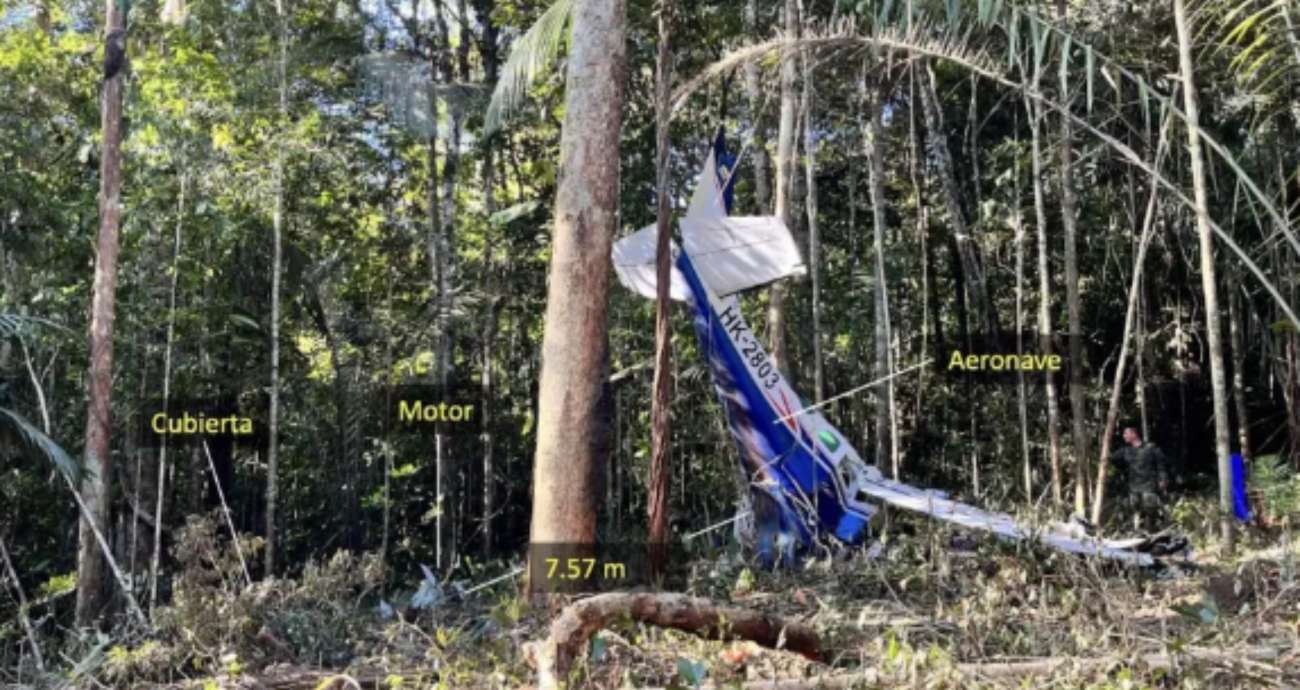 Plane crash in the Amazon.  The adults die, but 4 children may have survived and searches remain intense