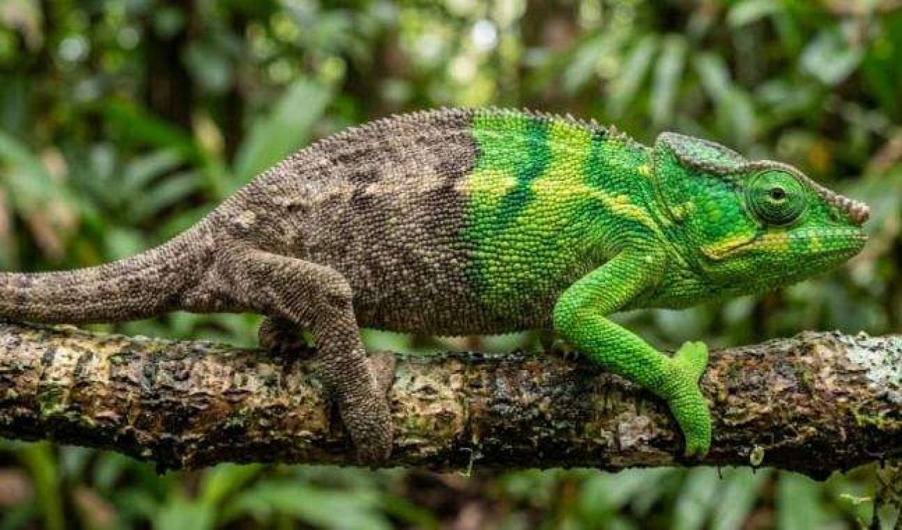A mudança começa em você: Não existe atalho institucional para um problema que começa dentro de cada um