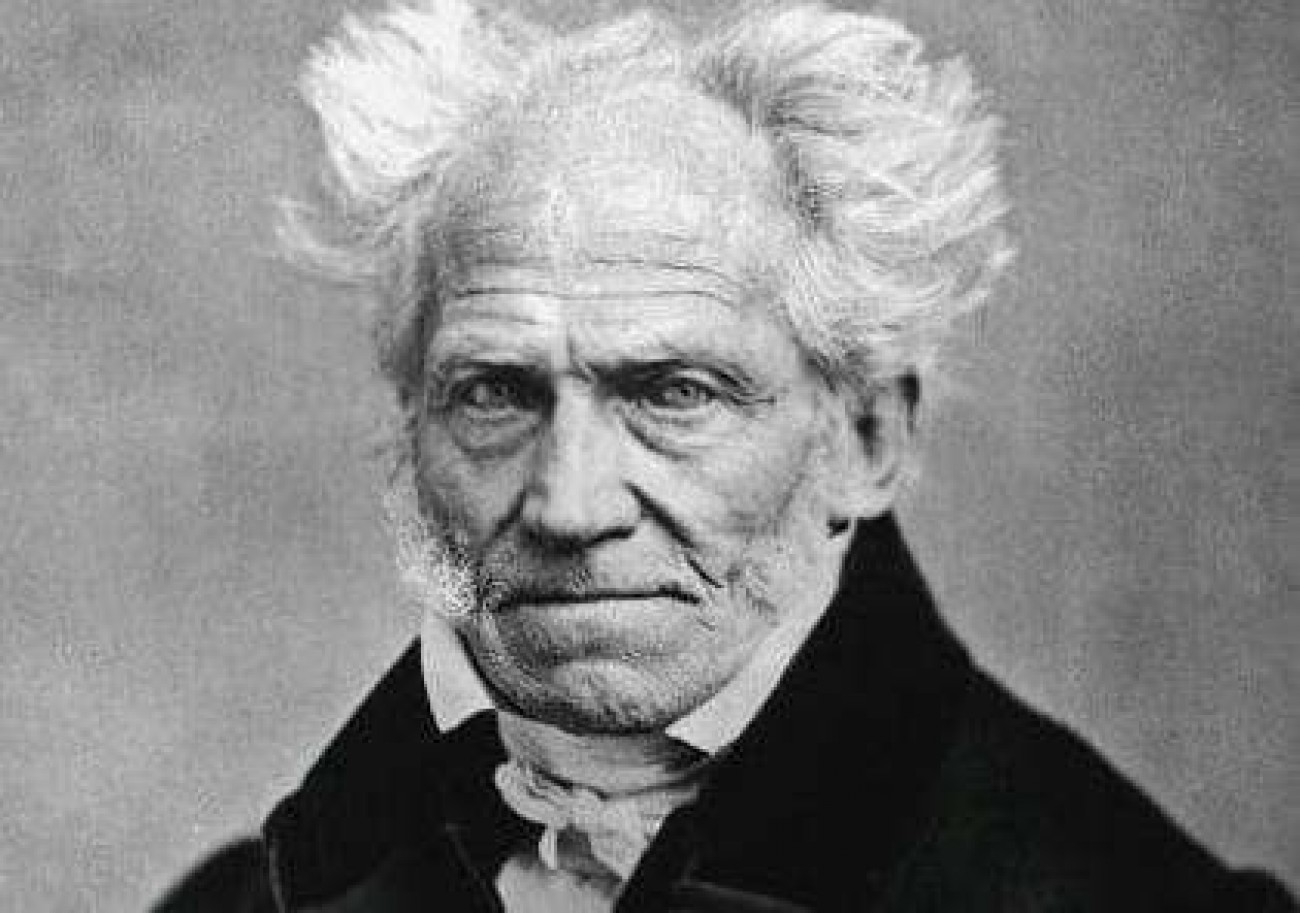 Cover image for A estupidez, segundo Schopenhauer (e outros)