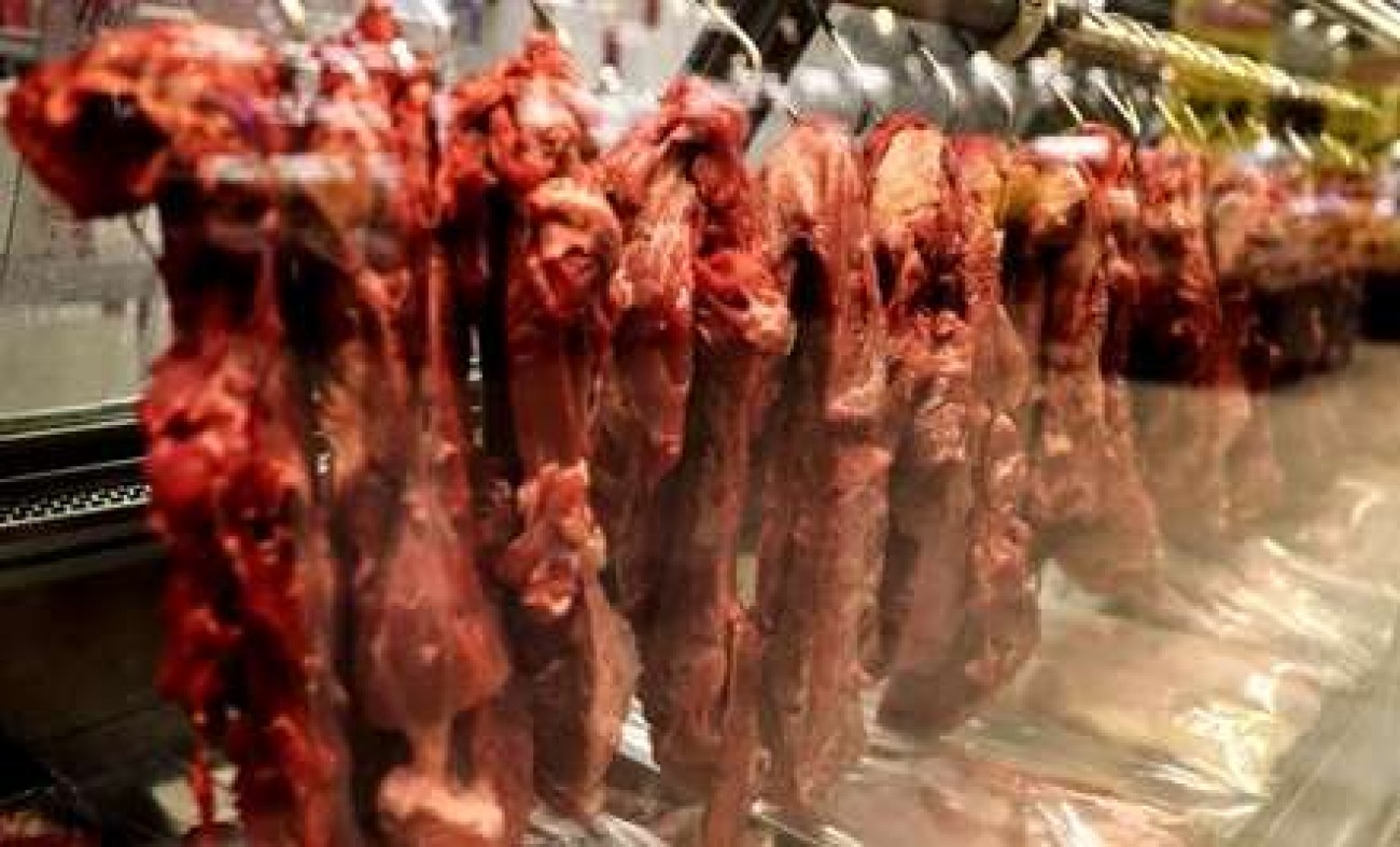 Cover image for União Europeia exclui Brasil da lista de exportadores de produtos de origem animal