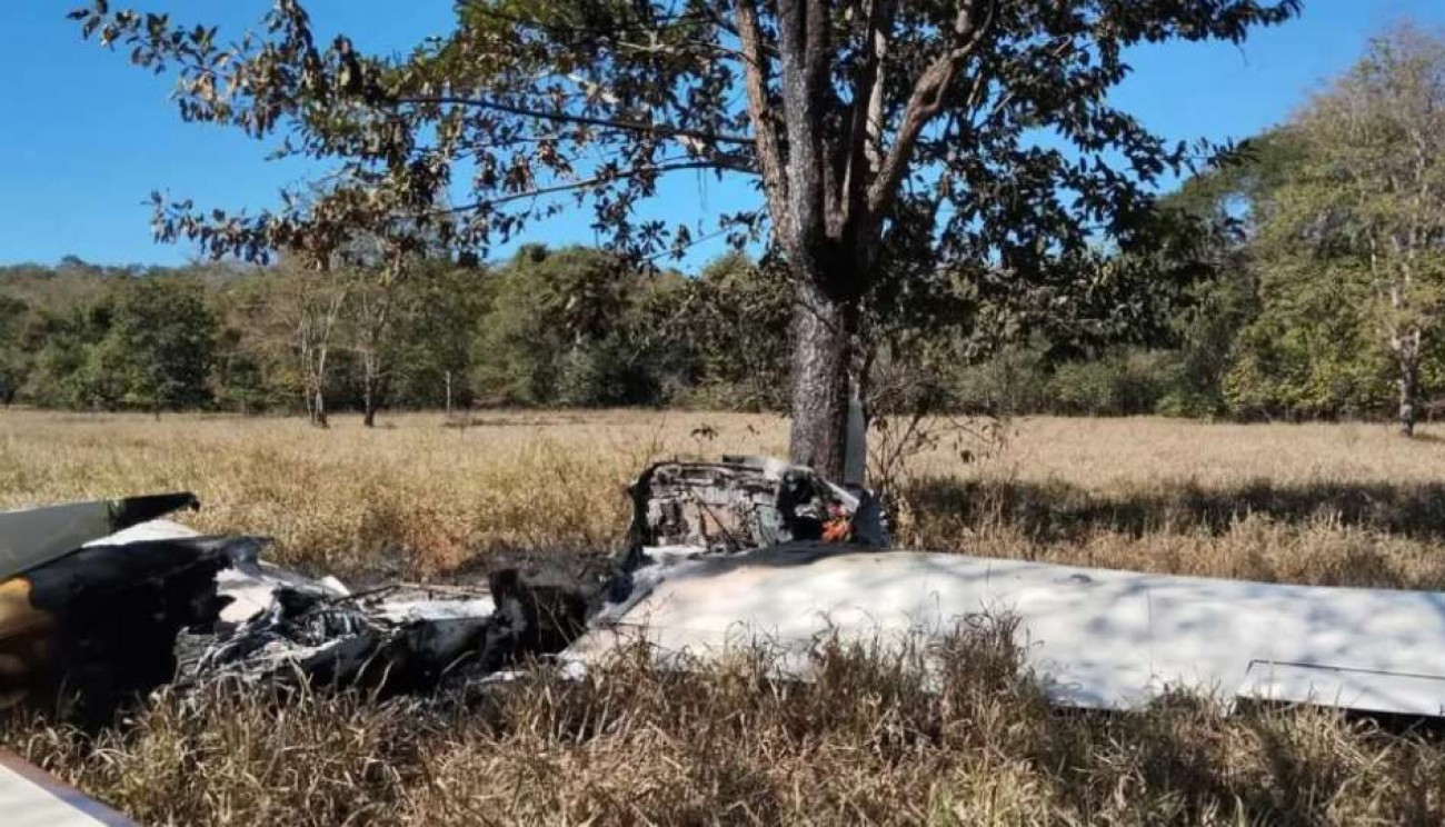 Avião faz pouso forçado em matagal e polícia encontra algo inesperado no local da queda