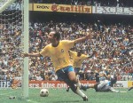 Paixão e glória do futebol brasileiro