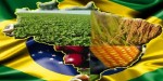 A saída para o Brasil que o ‘preconceito’ não permite enxergar