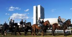 Militância petista se arma para ‘machucar’ animais da polícia montada