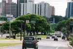 A eterna batalha do verde contra o dragão do concreto