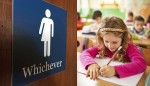 Três escolas primárias da Alemanha vão instalar banheiros com “terceiro gênero”