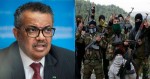 Acusação gravíssima contra Tedros: Diretor da OMS é suspeito de fornecer armas para rebeldes na Etiópia