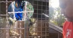 Denúncia grave de maus-tratos salva animal silvestre que estava em jaula há mais de 30 anos