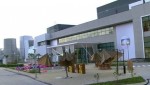 Depois de Massafera e Marquezine, mais uma "musa" deixa a Globo