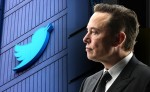 Elon Musk aplica duro golpe na 'patota do selo azul' e detona jornalistas