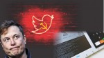 Isso é grave: Twitter pode ter influenciado eleições no Brasil (veja o vídeo)