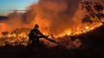 Desmatamento no Cerrado é o maior dos últimos cinco anos