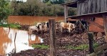 Agricultores atingidos por tragédia recebem uma boa notícia...