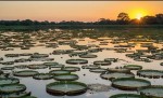 Mato Grosso do Sul deve ter movimentação intensa na semana mais decisiva e importante do ano