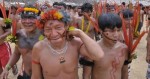 Associação Yanomami acusa garimpeiros por morte de índios, mas caso tem reviravolta surpreendente