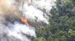 Amazônia queima e artistas esquerdopatas emudecem: Nunca foi pelo meio ambiente (veja o vídeo)