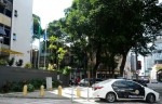 Polícia prende quadrilha por crimes bárbaros contra animais, no Rio