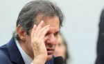 A “mentira” de Haddad