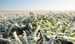 Novo alerta aponta graves consequências para o Agro