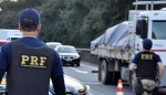 A polícia prende mal: Preso no sábado, motorista com 545 Kg de cocaína é solto no domingo