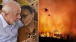 Destruição de florestas tropicais avança no governo Lula (veja o vídeo)
