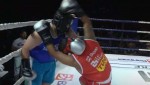 Parlamentares trocam a tribuna pelo ringue (veja o vídeo)