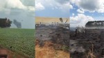 Identificado piloto morto carbonizado em queda de avião neste sábado