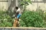 Ataque de leoa ao jovem que invadiu recinto em zoológico era previsível e plenamente explicável