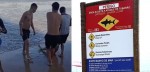 Ataques de tubarões aterrorizam Recife